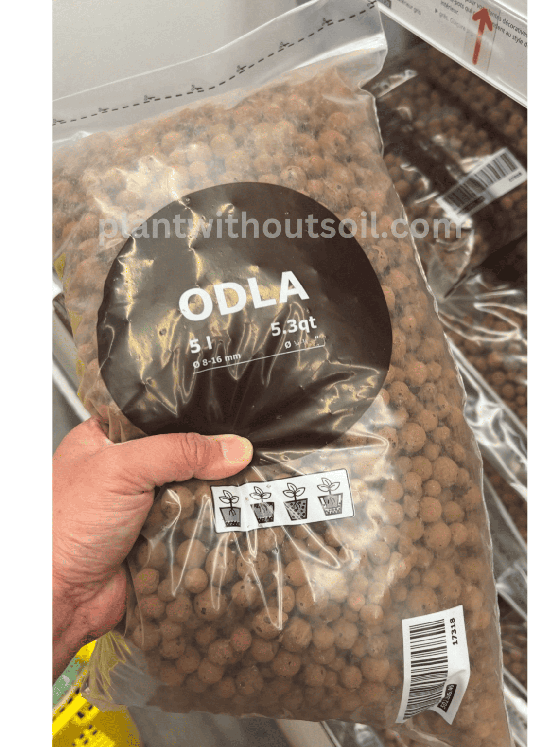 What is LECA? Complete Guide on Using Clay Balls for Plants Plant Without Soil